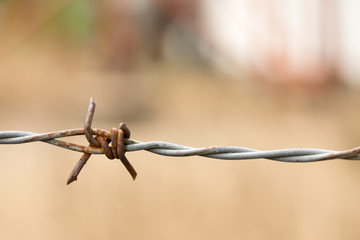 Rusty barbed wire