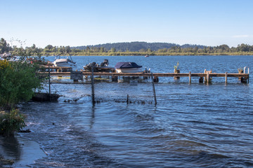 Forbidden Dock