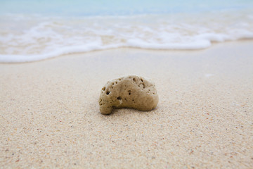 Abstract background of coral on sandy beach with soft waves and beach waves.