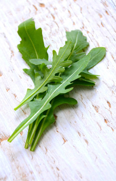 Fresh rucola