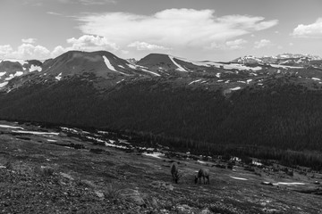 Rocky Mountains 