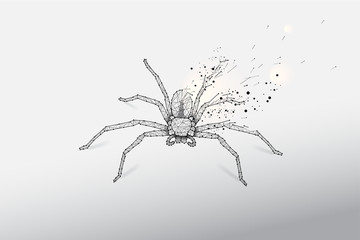 Abstract vector illustration of spider