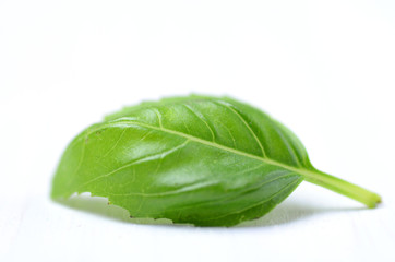 Fresh basil leaves