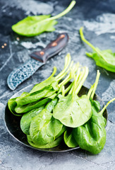 fresh spinach