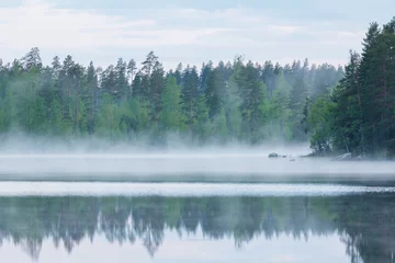  Foggy calm lake and forest at summer night © Juhku
