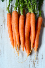 Bunch of fresh carrots with green leaves