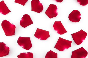 Red rose petals pattern on white background