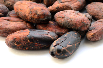 Raw cocoa beans