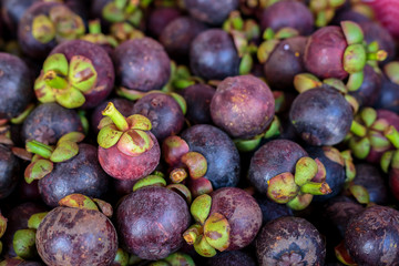 Mangosteen queen of fruit