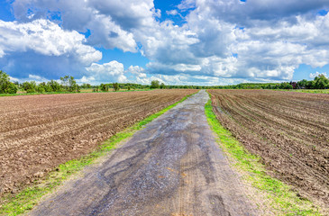 Fototapeta na wymiar Ile D'Orleans landscape with brown plowed field in summer for potatoes and path road trail with nobody in Quebec, Canada