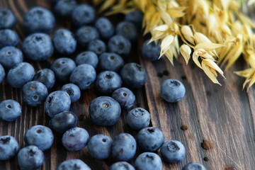 Fresh blueberries and ripe oat spikelets close-up