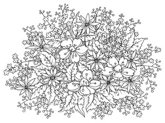 Floral composition, hand drawn