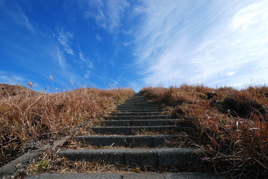 trail to the top