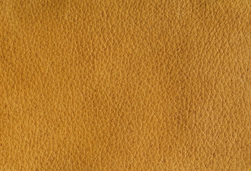 Naklejka premium leather background