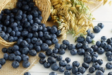 Fresh blueberries and ripe oat spikelets close-up