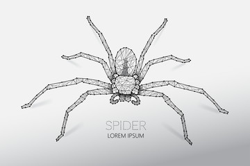 Abstract vector illustration of spider