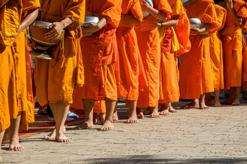 Row of monks get offering in the morning at buddhist temple in Thailand