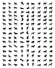 Black silhouettes of dogs on a white background, vector