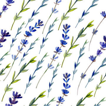 Watercolor blue lavender wild flower isolated on white, seamless pattern, decorative background, botanical hand drawn painting texture for design package cosmetic, greeting card, wedding invitation