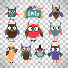 Owl icons set on transparent background