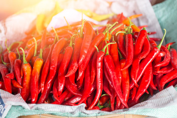 red hot chili food ingredient of Thai food hot and spicy favor.