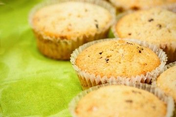 Homemade vanilla chocolate chips muffins