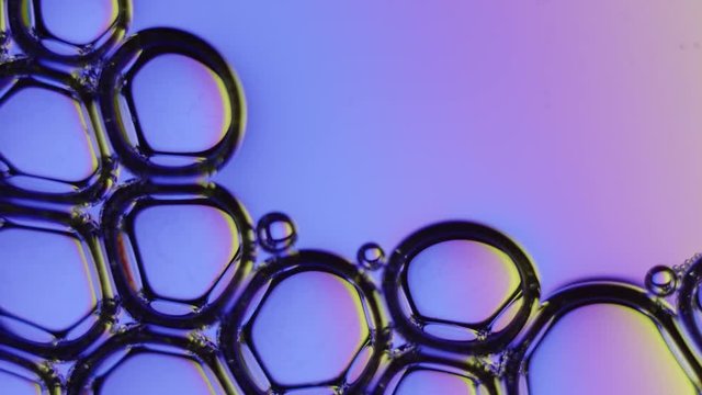 Soap bubbles on pink to purple gradient background