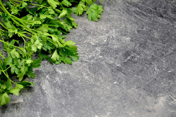 Parsley on black background close up photo