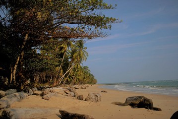 Akouango village Gabon