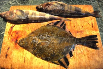 Fish, flat fish, flounder, sea fish, seafood, fresh fish, food, striped fins, triangular fish, fish...