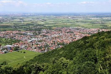 Fototapeta na wymiar Blick vom Odenwald auf Schriesheim und die Rheinebene