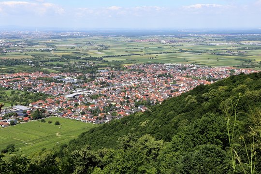 Blick vom Odenwald auf Schriesheim und die Rheinebene