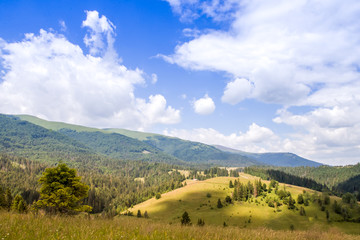 Mountain valley during cloudy summer middle day. Natural summer landscape with flower fields in Carpathian mountains in Ukraine.