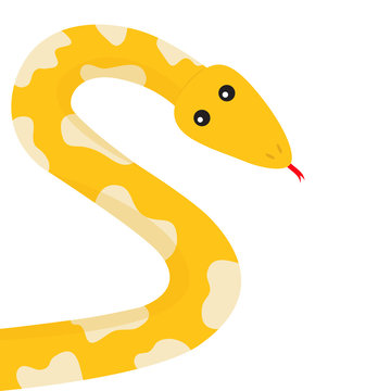 Yellow python snake red tongue. Golden crawling serpent with spot. Cute cartoon character. Flat design. White background. Isolated.