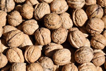Wallnüsse