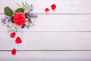 Red rose on white wooden background. David Austin Rose Golden Celebration