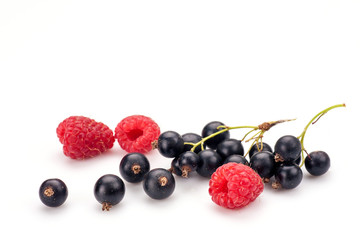Blackcurrants with raspberries