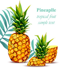 Pineapple fruit Tropical style card. Vector illustration