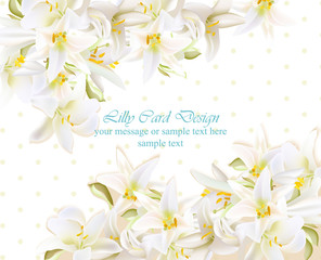 White lily delicate flowers card Vector illustration