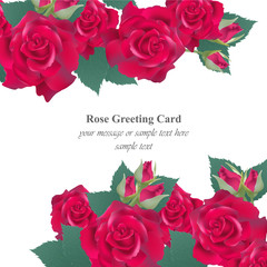 Red roses card Vector. delicate summer card. Springtime fresh natural composition
