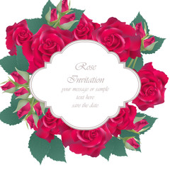 Vintage Red roses card Vector. delicate summer card. Springtime fresh natural composition