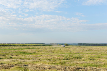 Naklejka premium Summer landscape in the field. The car goes far in the field. Blue sky in the clouds.