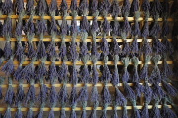 Trocknen von Lavendelblüten