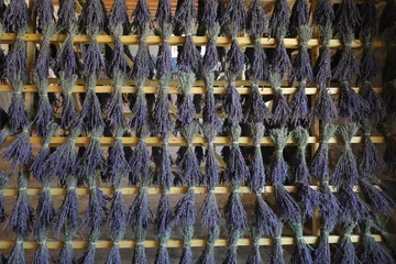 Foto auf Acrylglas Lavendel Trocknen von Lavendelblüten