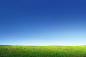 Obraz na płótnie Canvas Clear Sky and Grass