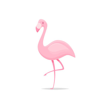 Flamingo bird cartoon vector 