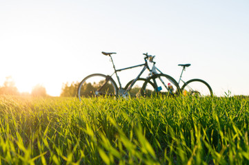 Fototapeta premium grass foreground and bicycles