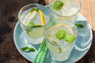 refreshing lemonade drink with mint lime lemon in garden