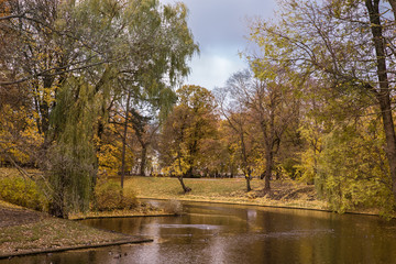 River and bridge in golden autumn city park