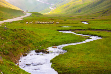 Pasture on the hill in autumn at Dong chuan, countryside of Kunming, yunnan province China. (With blur foreground, warm sunlight effect and mist, haze, smoke effect at background)